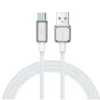 Recci 100W Fast Charging USB-A to Type-C Cable with Lamp Display